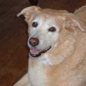 Honey and Precious 152, 153