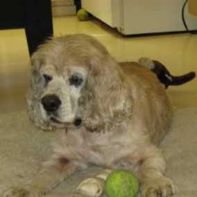 Tulip Noir and Jasper