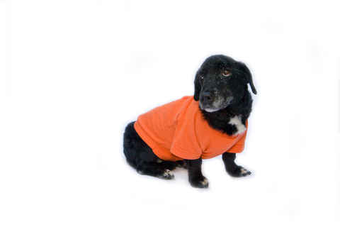 Tuki
