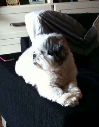 Maxine and Jack-Jack