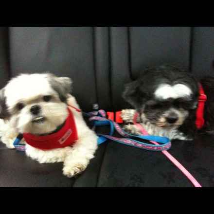 Maxine and Jack-Jack