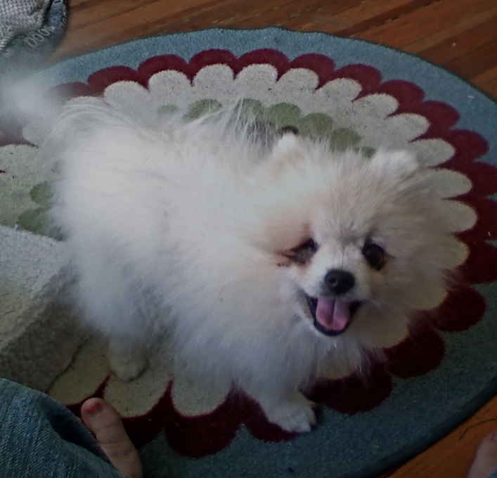 Captain Jack Sparrow