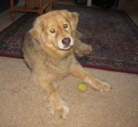 Little Bear 2 & Charlie Girl