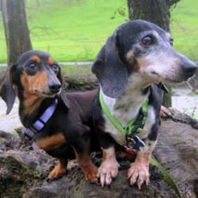 Baby Ruth & Piano Man