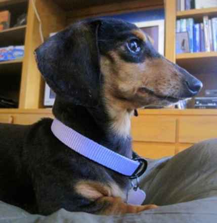 Baby Ruth & Piano Man