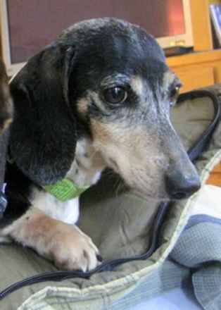 Baby Ruth & Piano Man