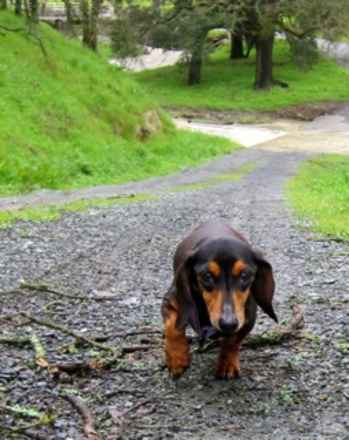 Baby Ruth & Piano Man