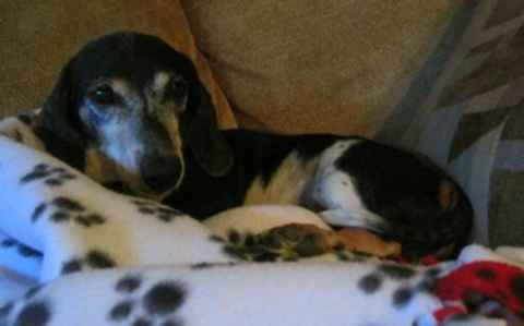 Baby Ruth & Piano Man