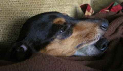 Baby Ruth & Piano Man