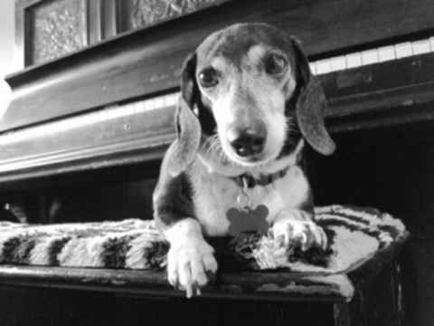 Baby Ruth & Piano Man