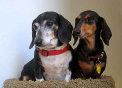 Baby Ruth & Piano Man