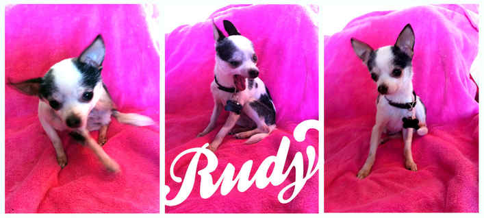 Rudy