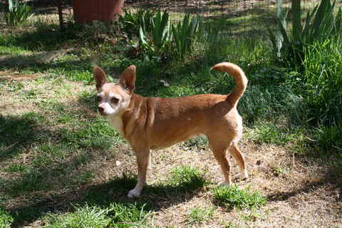 Titus and Pretty Girl