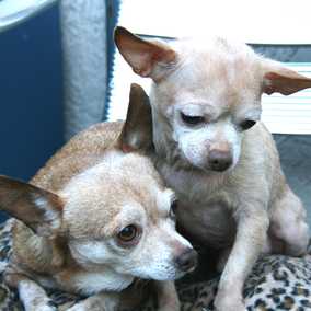 Titus and Pretty Girl