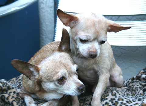 Titus and Pretty Girl