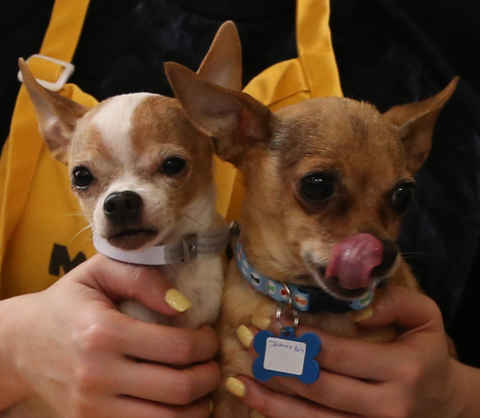 JD and Little Girl ,