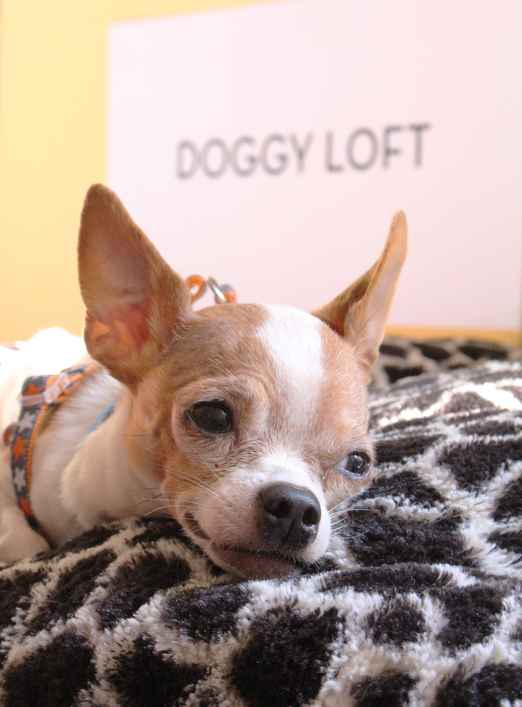 JD and Little Girl ,