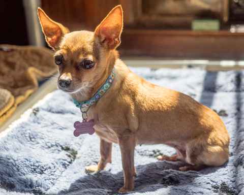 JD and Little Girl ,