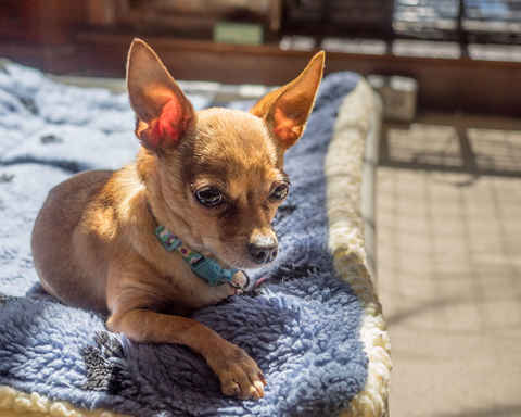 JD and Little Girl ,