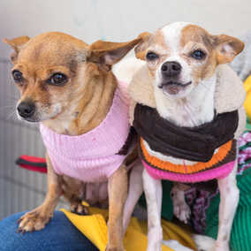 JD and Little Girl ,