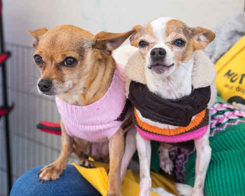 JD and Little Girl ,