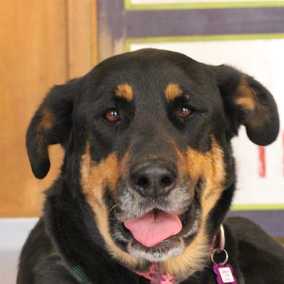 Catherine Zeta-Jones