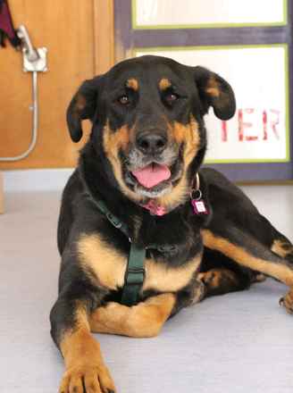 Catherine Zeta-Jones