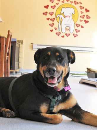 Catherine Zeta-Jones