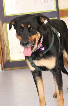 Catherine Zeta-Jones