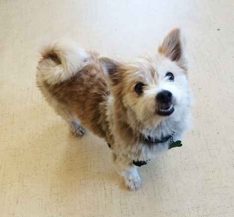 Leela “Lee Lee” Devine (fka Yummy)