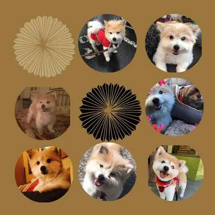 Leela “Lee Lee” Devine (fka Yummy)