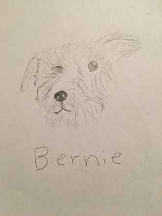 Bernie