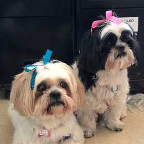 Goldie Hawn & Kurt Russell
