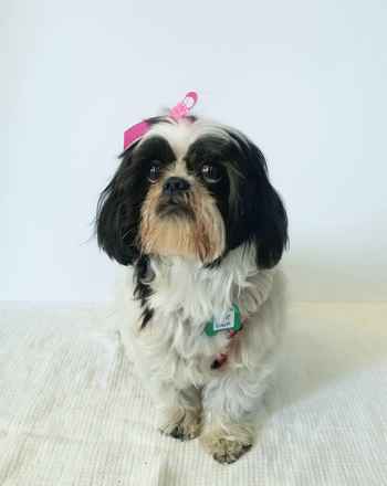 Goldie Hawn & Kurt Russell