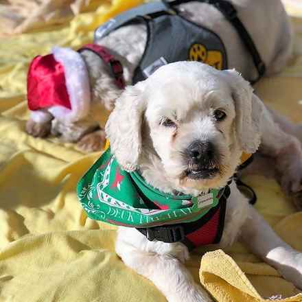 Charlie Brown & Snowman