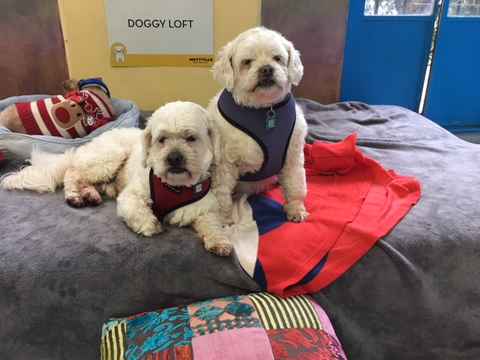 Charlie Brown & Snowman