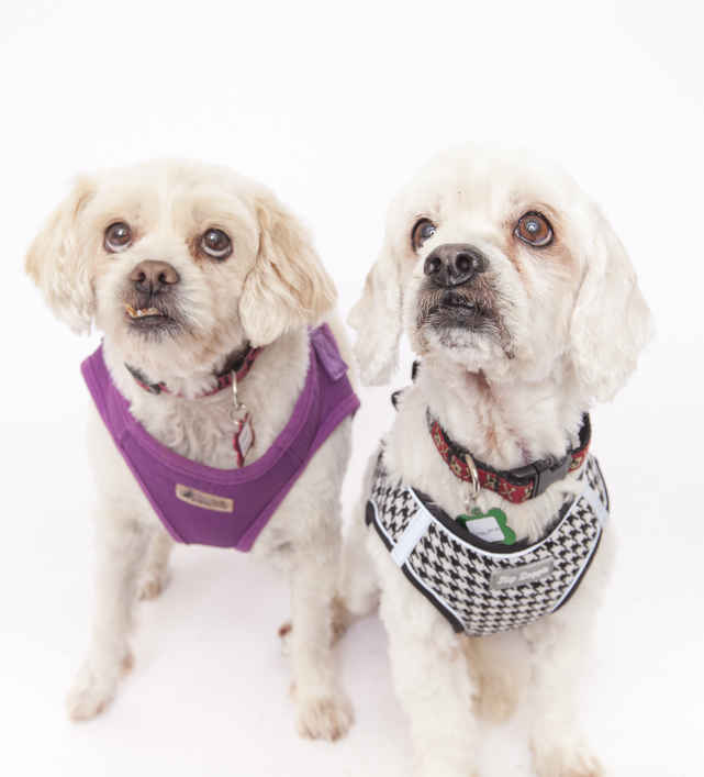 Charlie Brown & Snowman