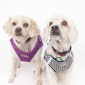 Charlie Brown & Snowman