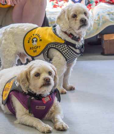 Charlie Brown & Snowman