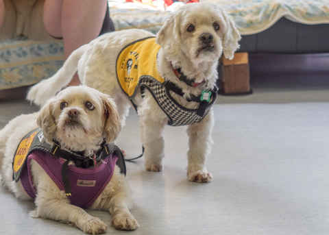 Charlie Brown & Snowman