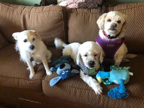 Charlie Brown & Snowman