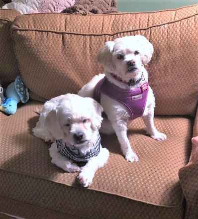 Charlie Brown & Snowman