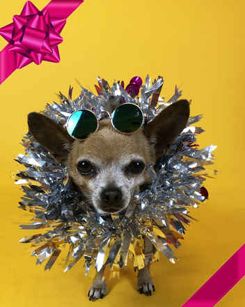 Mr Smee & Miss Chips