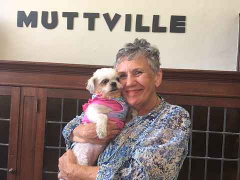 Strawberry Shortcake