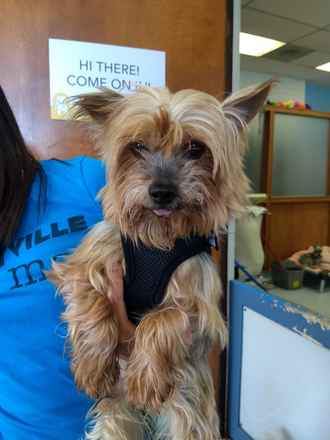 Kangaroo (fka Hamilton)