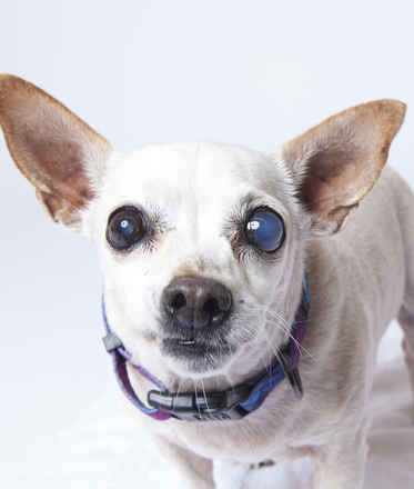 June Carter Cash & Diana Ross