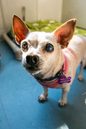 June Carter Cash & Diana Ross