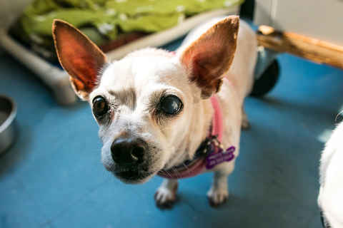 June Carter Cash & Diana Ross