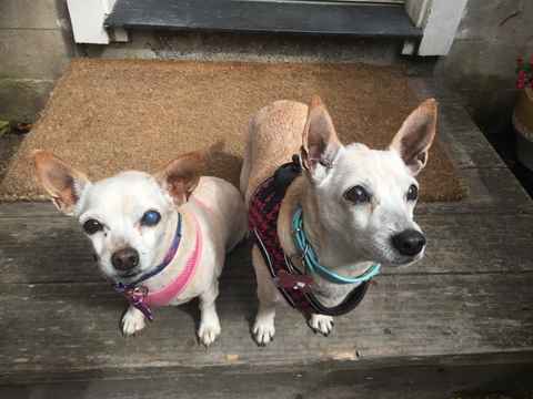 June Carter Cash & Diana Ross