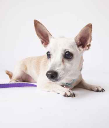 June Carter Cash & Diana Ross